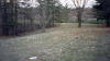 cemetery1.jpg (75509 bytes)