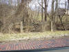 mini-DSC06312.JPG (147653 bytes)