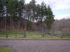 mini-DSC06319.JPG (106449 bytes)