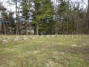 mini-DSC06333.JPG (150141 bytes)