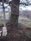 mini-DSC06359.JPG (143868 bytes)