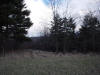 mini-DSC06361.JPG (109112 bytes)
