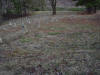 mini-DSC06364.JPG (138021 bytes)