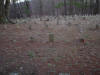 mini-DSC06371.JPG (108675 bytes)