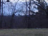 mini-DSC06384.JPG (57308 bytes)