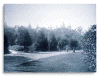 frontwithpath.gif (63298 bytes)