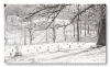 graveyard.gif (56794 bytes)