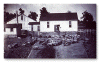 pigs.gif (59615 bytes)