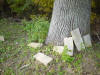 mini-DSC05113.JPG (121053 bytes)
