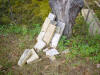 mini-DSC05115.JPG (119021 bytes)
