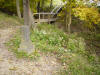 mini-DSC05116.JPG (121747 bytes)