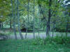 mini-DSC05141.JPG (118949 bytes)