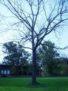 mini-DSC05148.JPG (120437 bytes)