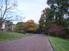 mini-DSC05225.JPG (90305 bytes)